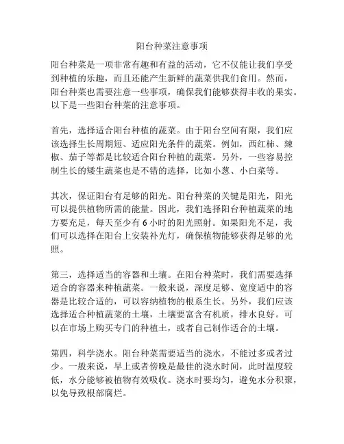 阳台种菜注意事项