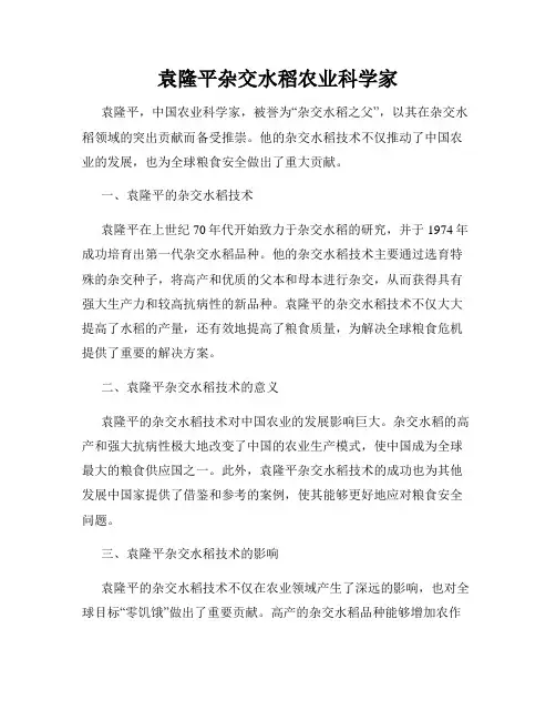 袁隆平杂交水稻农业科学家