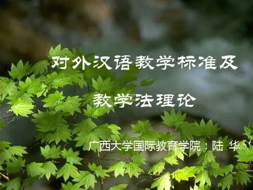对外汉语教学标准