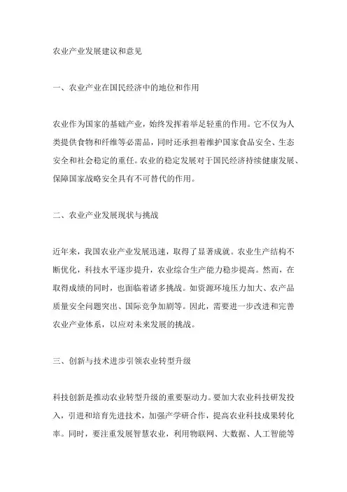 农业产业发展建议和意见