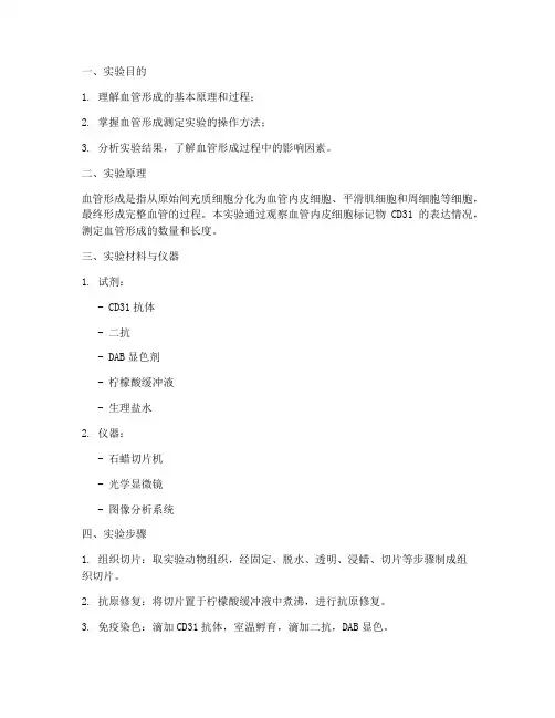 血管形成测定实验报告