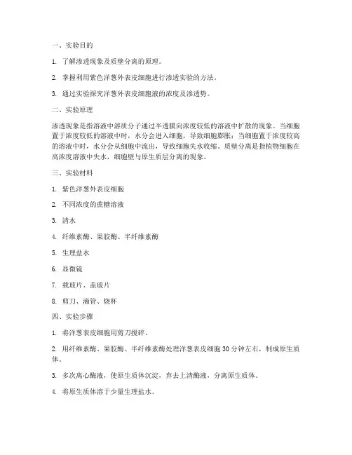 洋葱渗透式实验报告