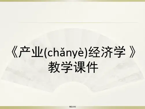 产业经济学(完整版)