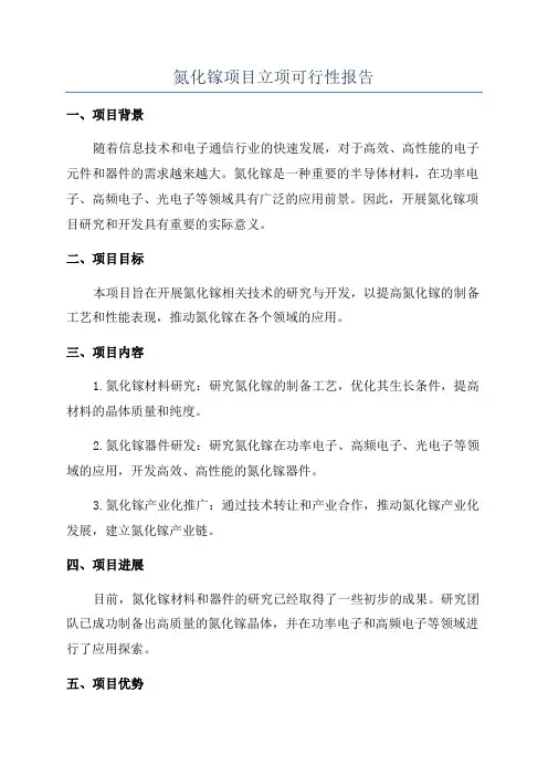 氮化镓项目立项可行性报告