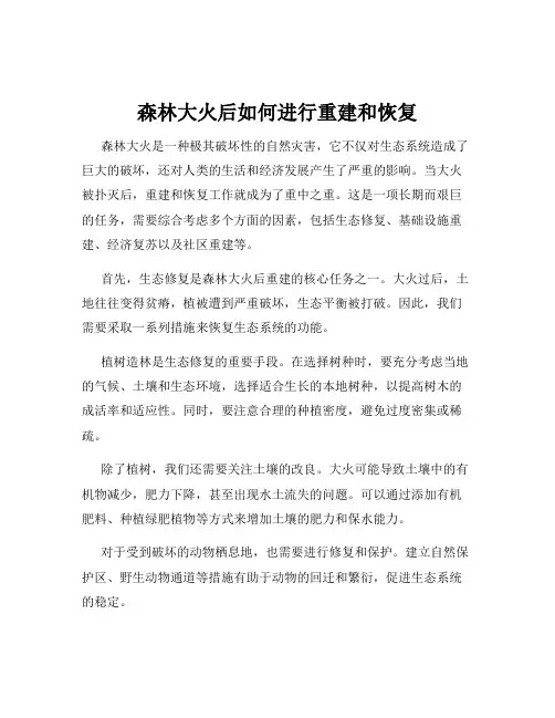 森林大火后如何进行重建和恢复