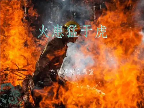森林草原防火宣传ppt课件