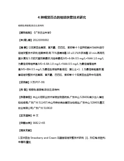 4种观赏百合的组培快繁技术研究