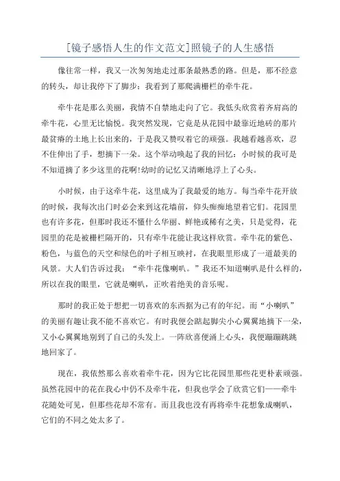 [镜子感悟人生的作文范文]照镜子的人生感悟