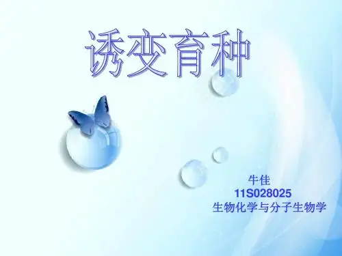 诱变育种