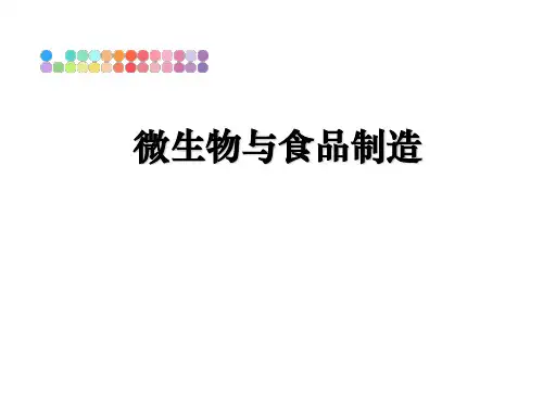 最新微生物与食品制造课件PPT