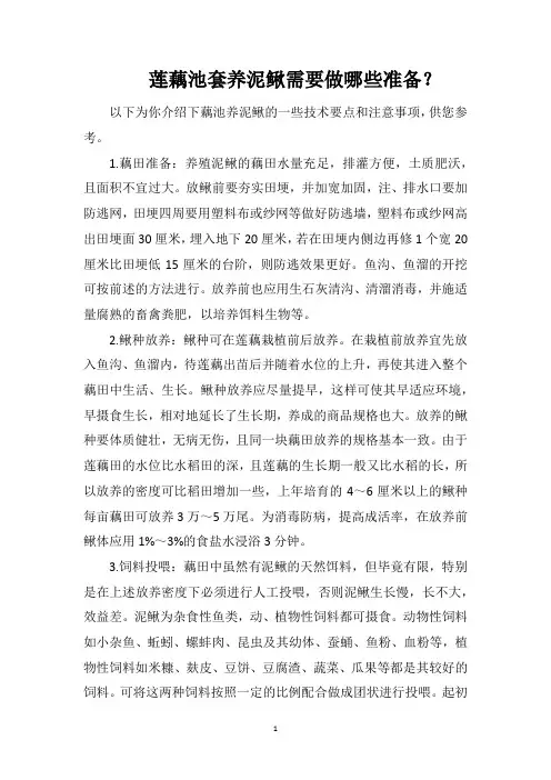 莲藕池套养泥鳅需要做哪些准备？