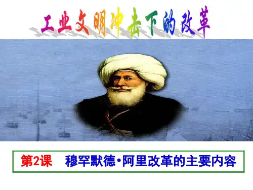 穆罕默德阿里改革的主要内容