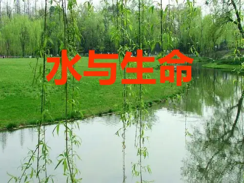 三年级上册科学课件-8《水与生命》 ｜冀教版         (共15张PPT)