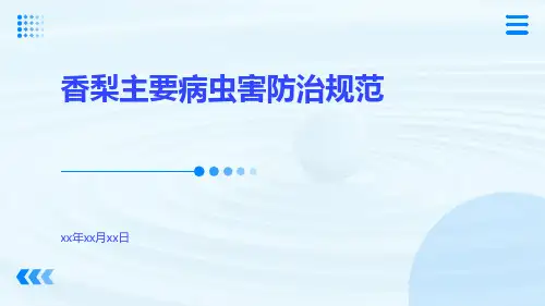 香梨主要病虫害防治规范