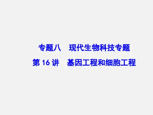 高考生物 二轮复习 专题讲练突破 专题8 第16讲 基因工程和细胞工程