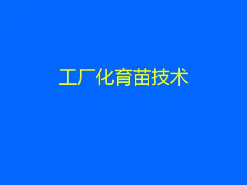 穴盘育苗技术