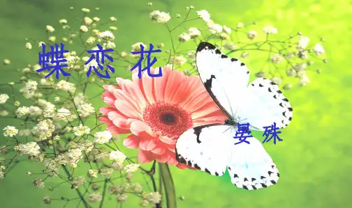 晏殊蝶恋花完整版PPT课件