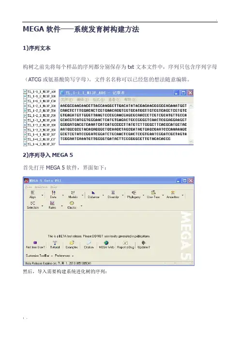 MEGA软件——系统发育树构建方法