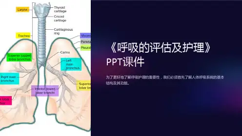 《呼吸的评估及护理》课件