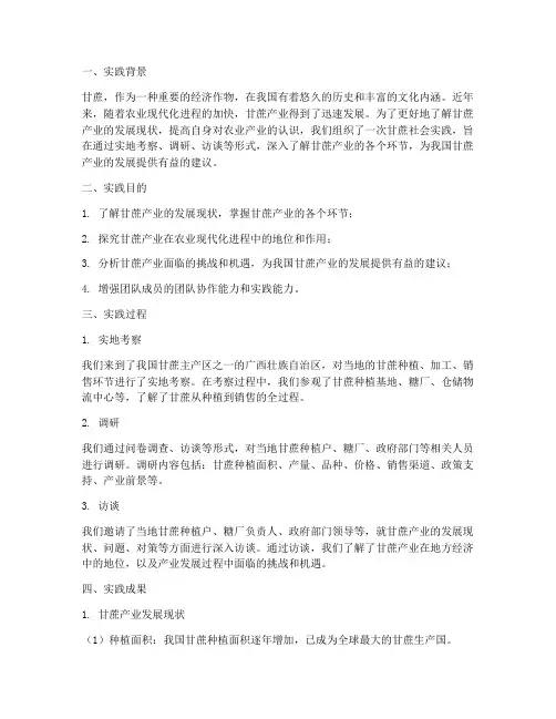 甘蔗的社会实践报告
