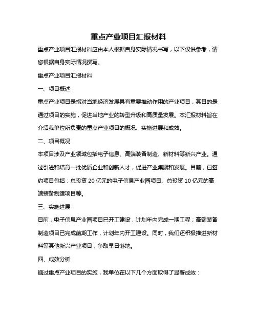 重点产业项目汇报材料