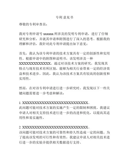 专利 意见书