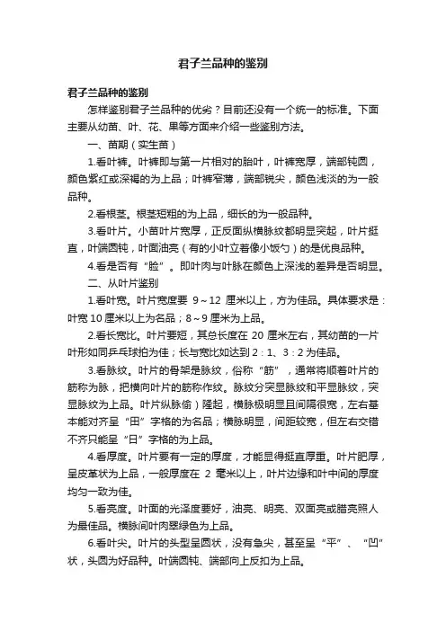 君子兰品种的鉴别
