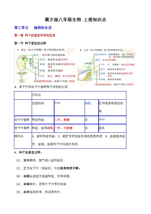 冀少版八年级生物上册知识点pdf_1