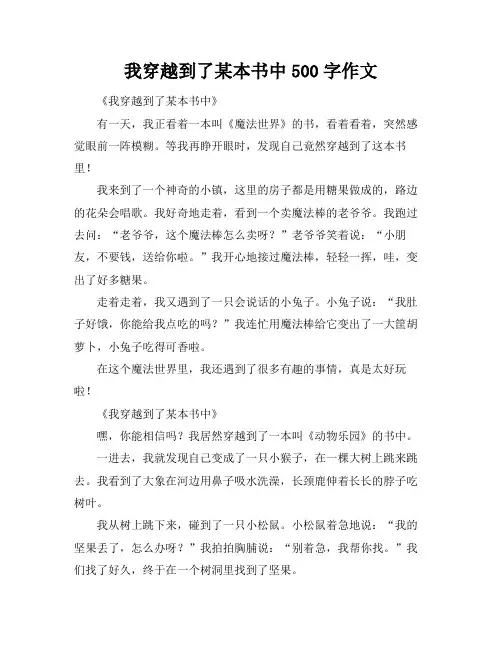 我穿越到了某本书中500字作文
