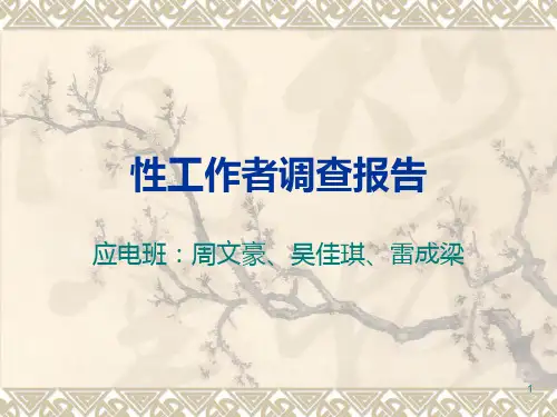 性工作者调查报告PPT课件