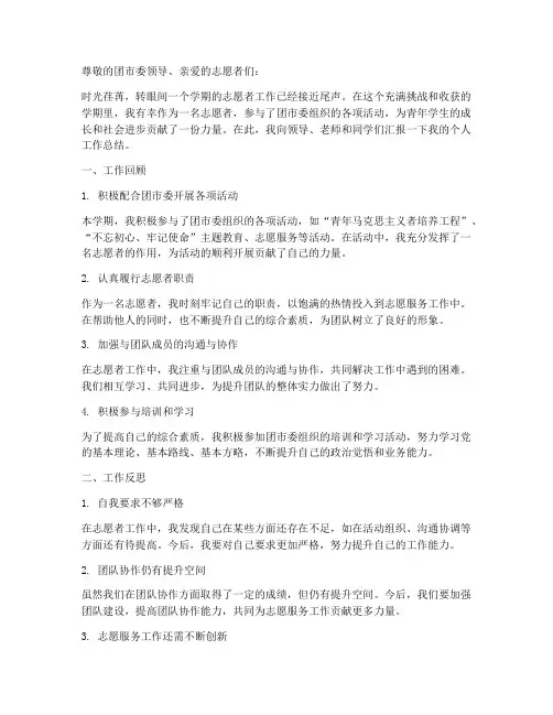 团市委志愿者个人工作总结