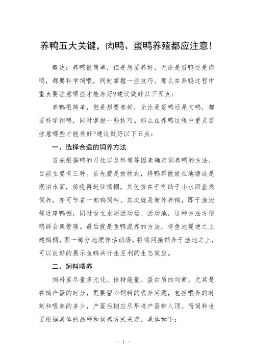 养鸭五大关键,肉鸭、蛋鸭养殖都应注意!