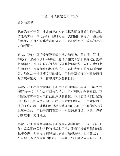 年轻干部队伍建设工作汇报