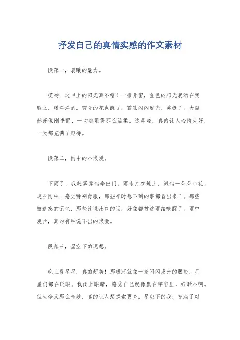 抒发自己的真情实感的作文素材