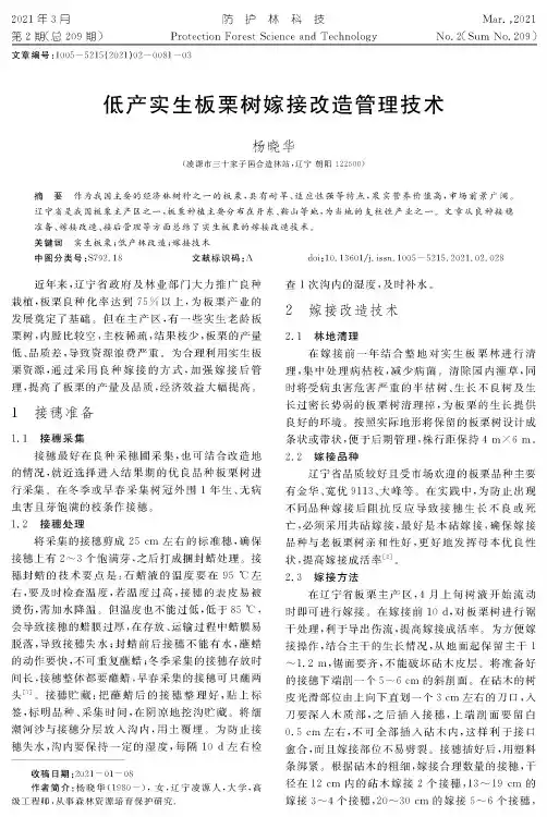 低产实生板栗树嫁接改造管理技术