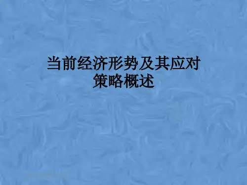 当前经济形势及其应对策略概述