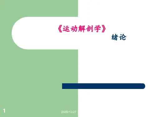 《运动解剖学》绪论 ppt课件