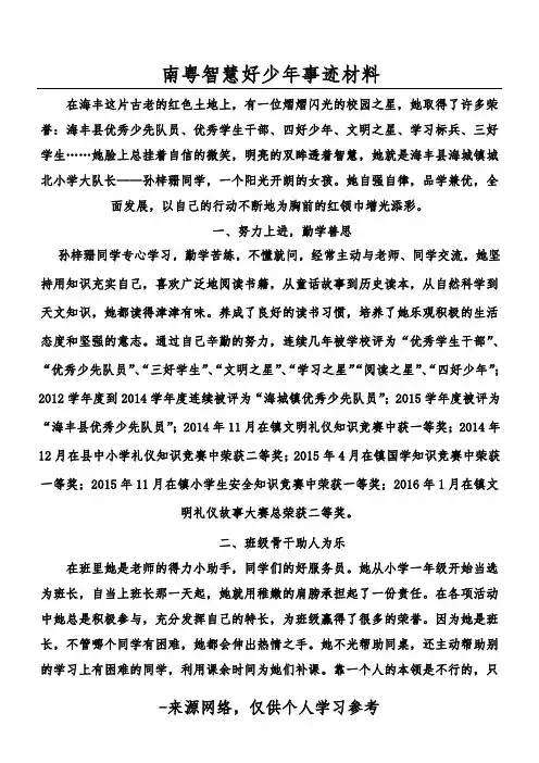 南粤智慧好少年事迹材料