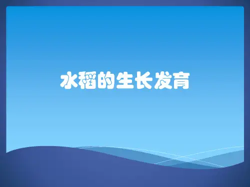 水稻的生长发育