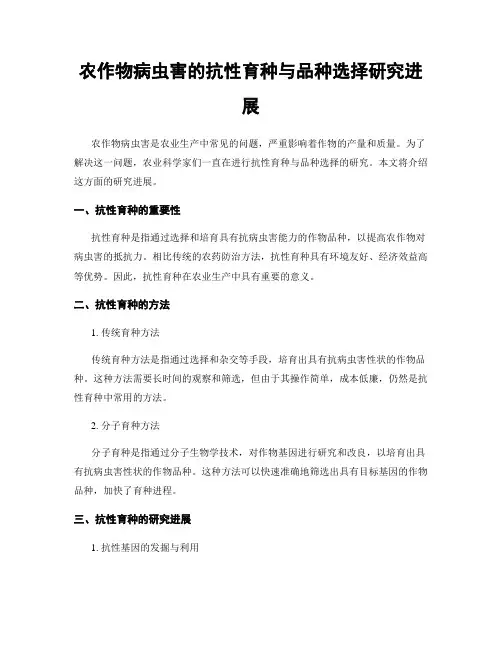 农作物病虫害的抗性育种与品种选择研究进展