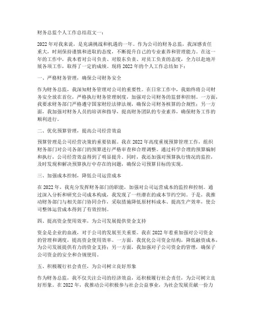 财务总监个人工作总结5篇范文