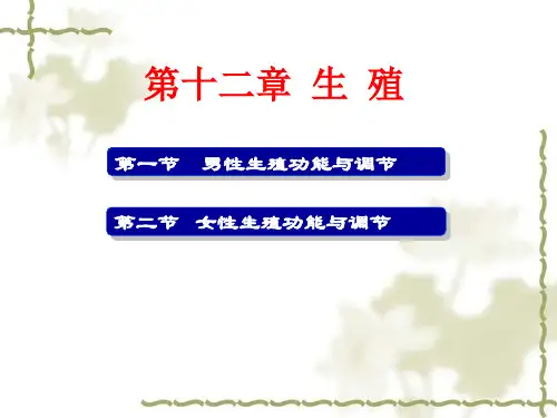 《生理学》课件——第十二章 生殖