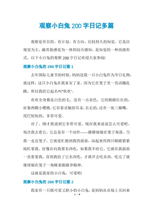 观察小白兔200字日记多篇