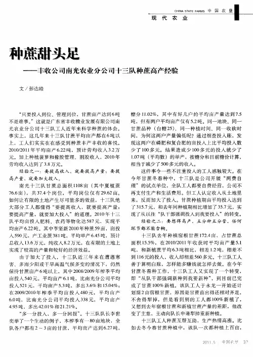 种蔗甜头足——丰收公司南光农业分公司十三队种蔗高产经验