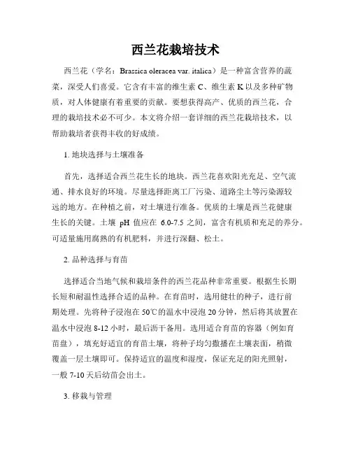 西兰花栽培技术