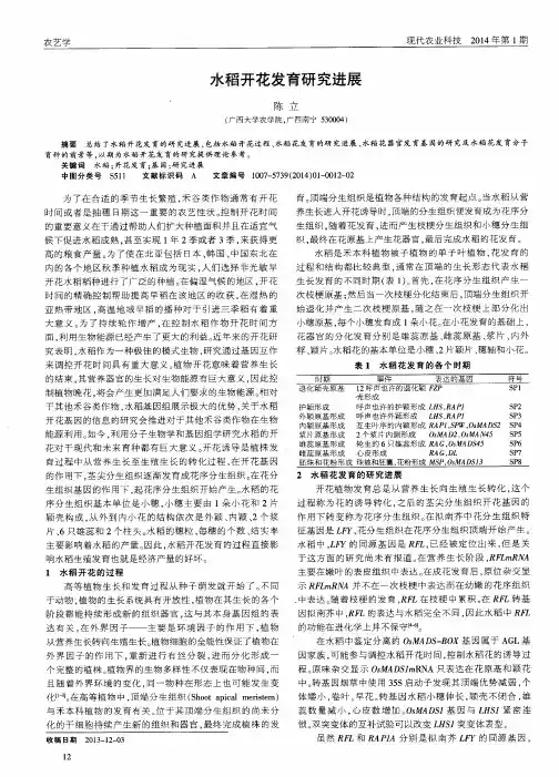 水稻开花发育研究进展