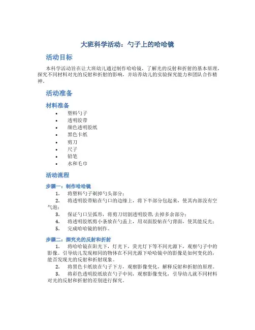 大班科学活动：勺子上的哈哈镜