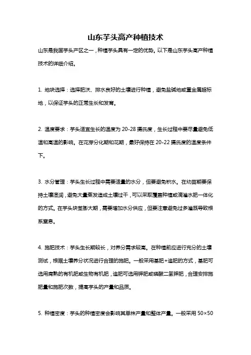山东芋头高产种植技术