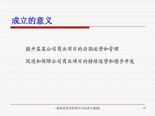 商业经营管理公司运营方案3课件