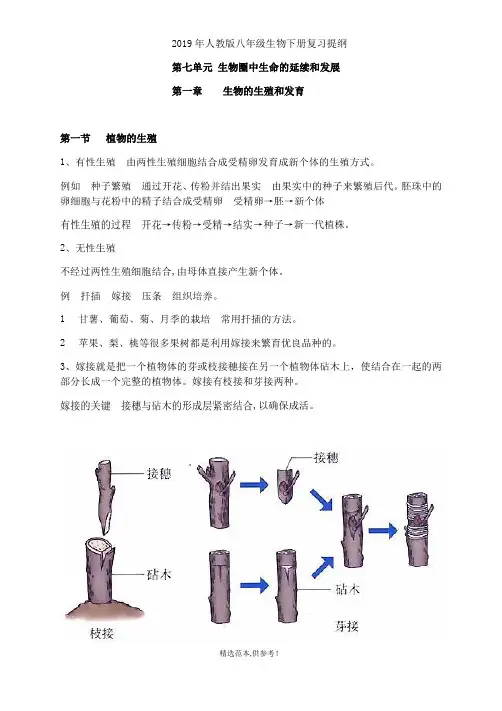 XX年人教版八年级生物下册复习提纲